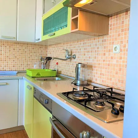 Apartment Roko House